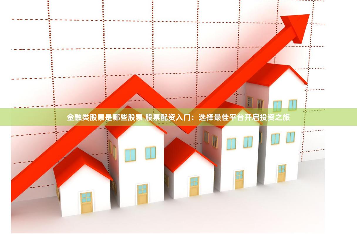 金融类股票是哪些股票 股票配资入门：选择最佳平台开启投资之旅