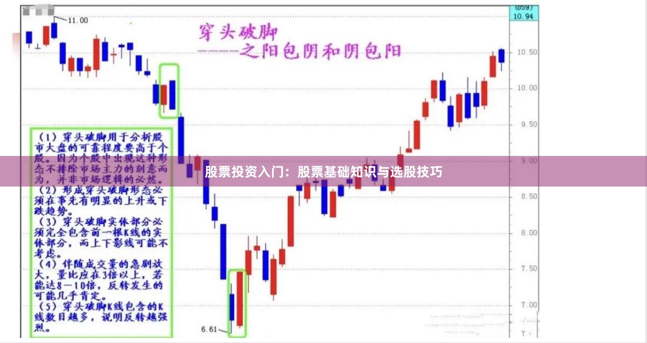 股票投资入门：股票基础知识与选股技巧