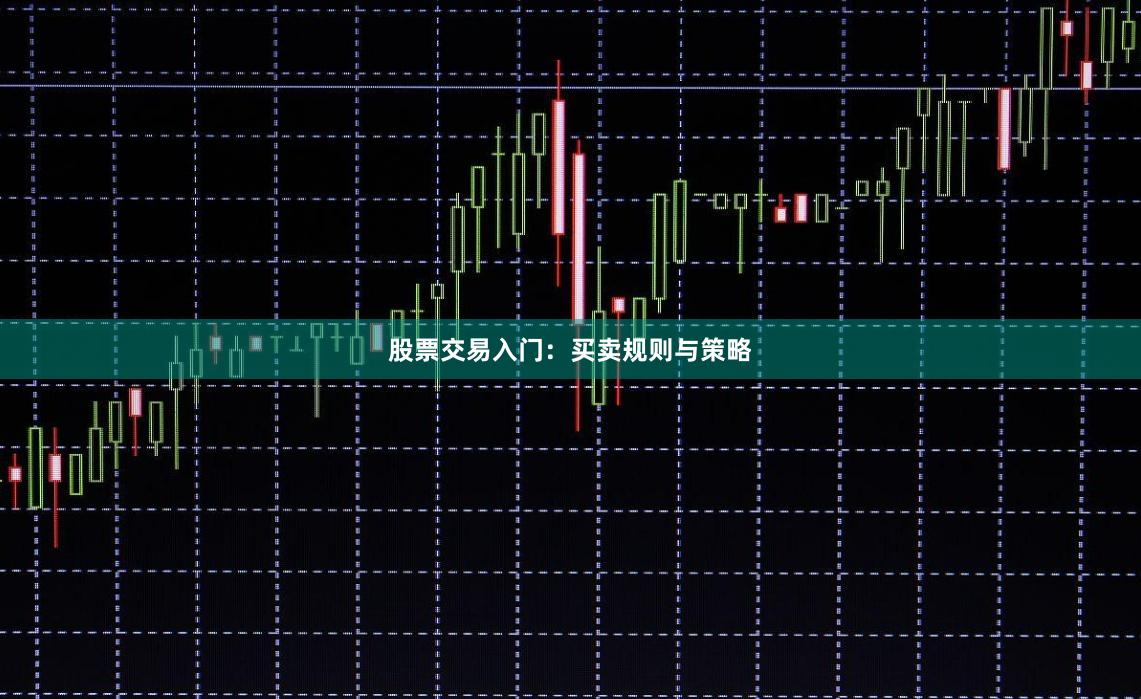 股票交易入门：买卖规则与策略